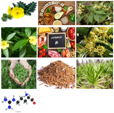 Ancestral Grow Ingredients
