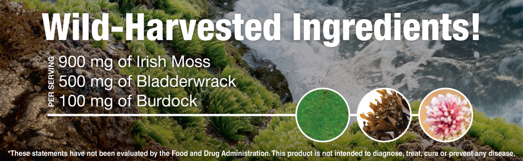 Hello Health Sea Moss Ingredients