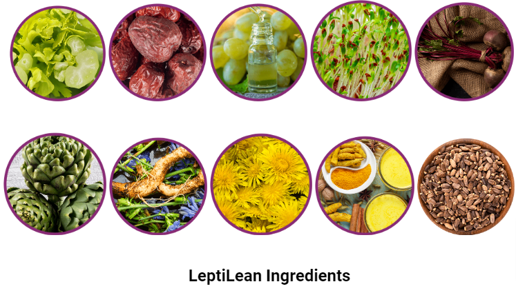 LeptiLean Ingredients
