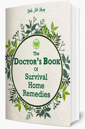 Doctor Book of Home Remedies Book