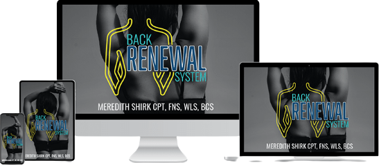 Back Renewal System Program