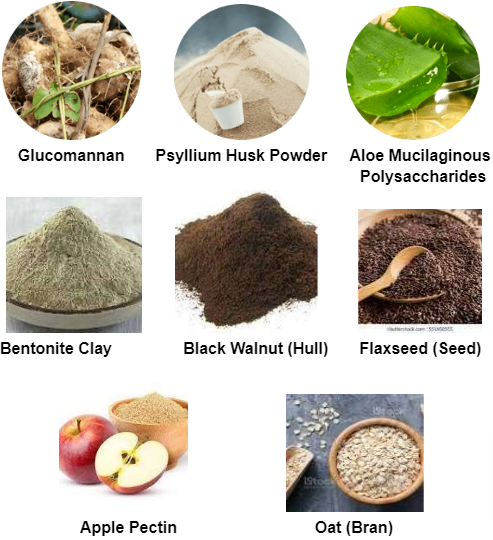 Daily Health Advanced Cleanse Ingredients