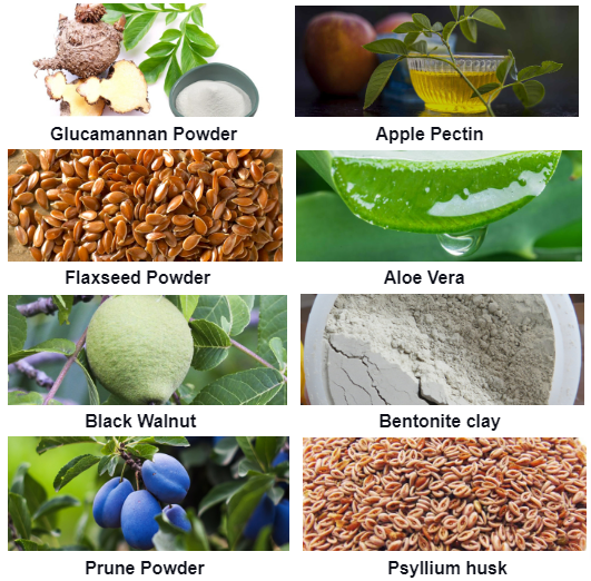 Gut Vita Ingredients